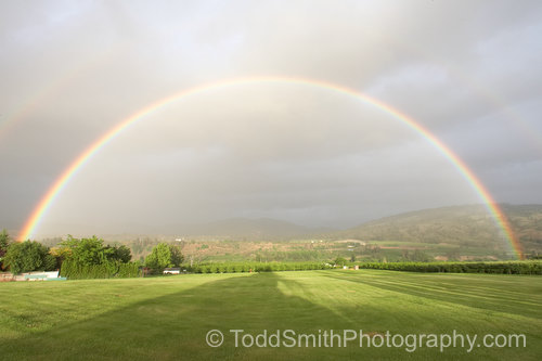 photography newsletter rainbows