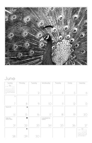Page Six, June, of Black and White Wall Calendar