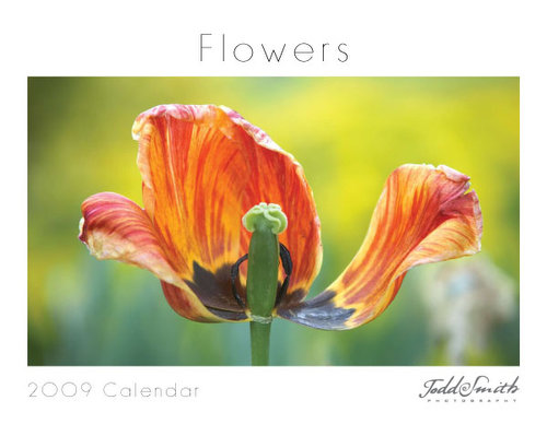 Cover Page of Flowers Calendar