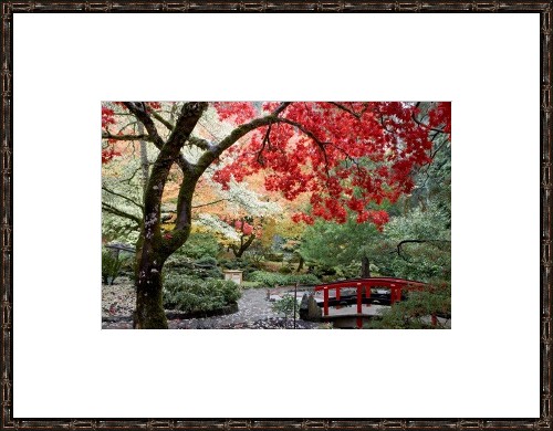 framed print of japanese maple and bridge