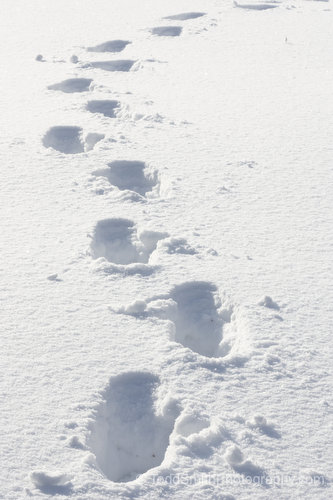 foot prints in snow