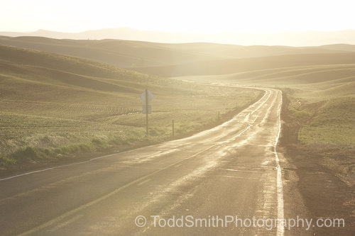 country road at dawn